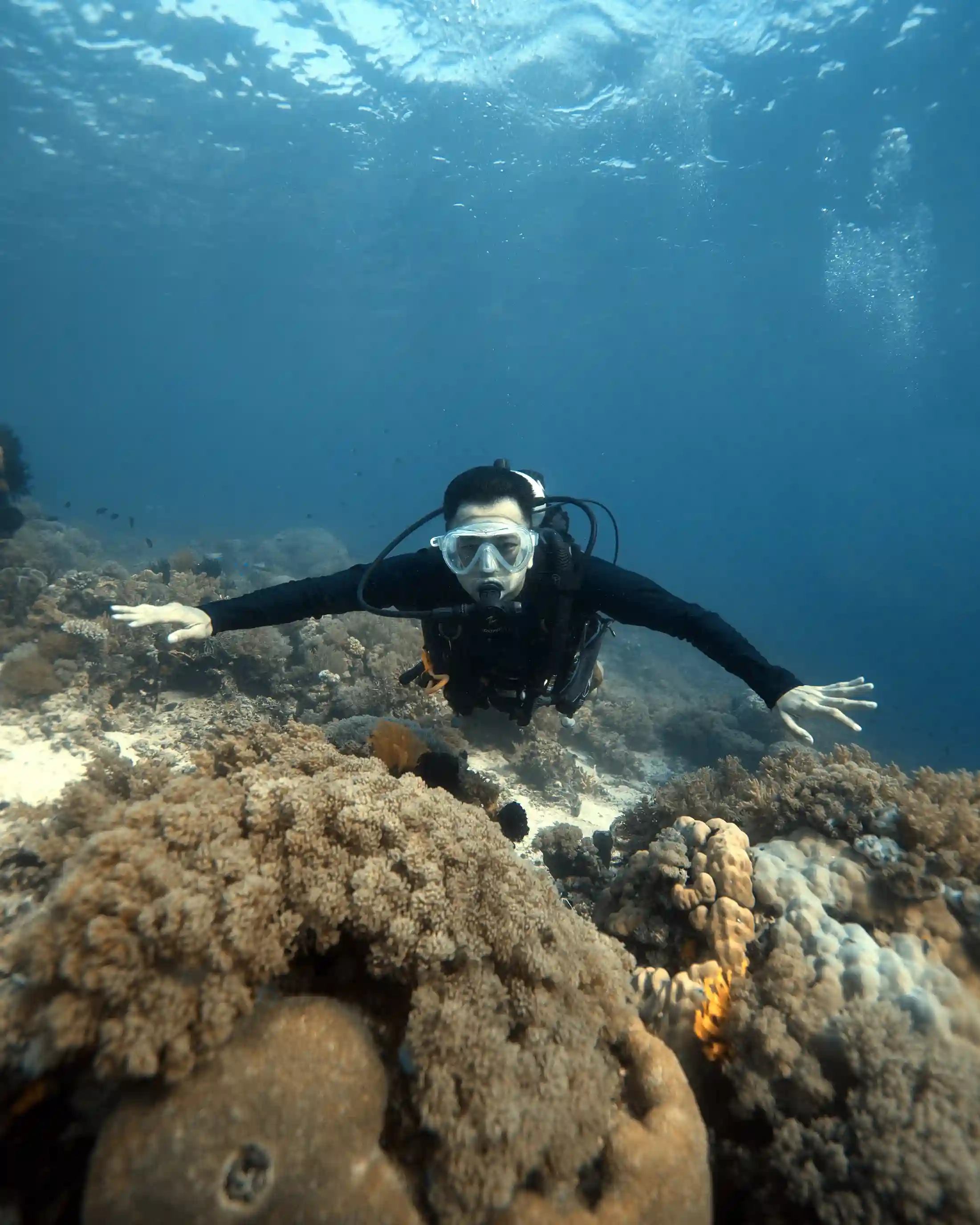 Diving | Komodo Tour | Bali Komodo Trips