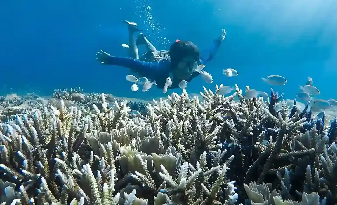 Sebayur Island