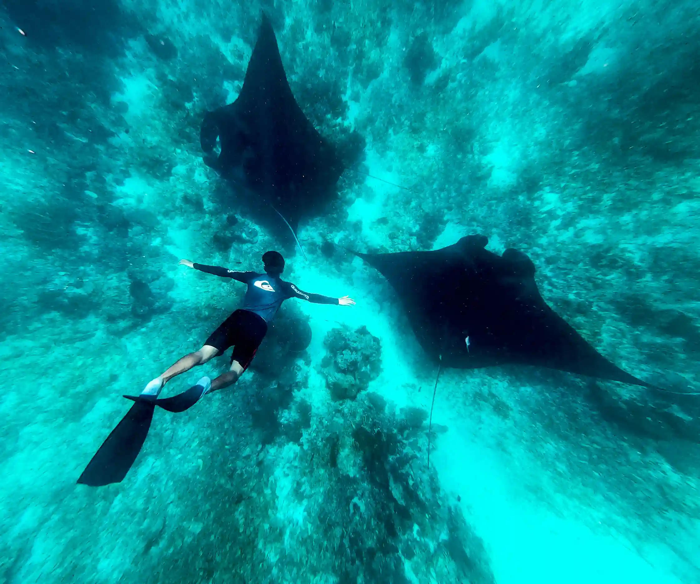 Manta Point | Komodo Tour | Bali Komodo Trips