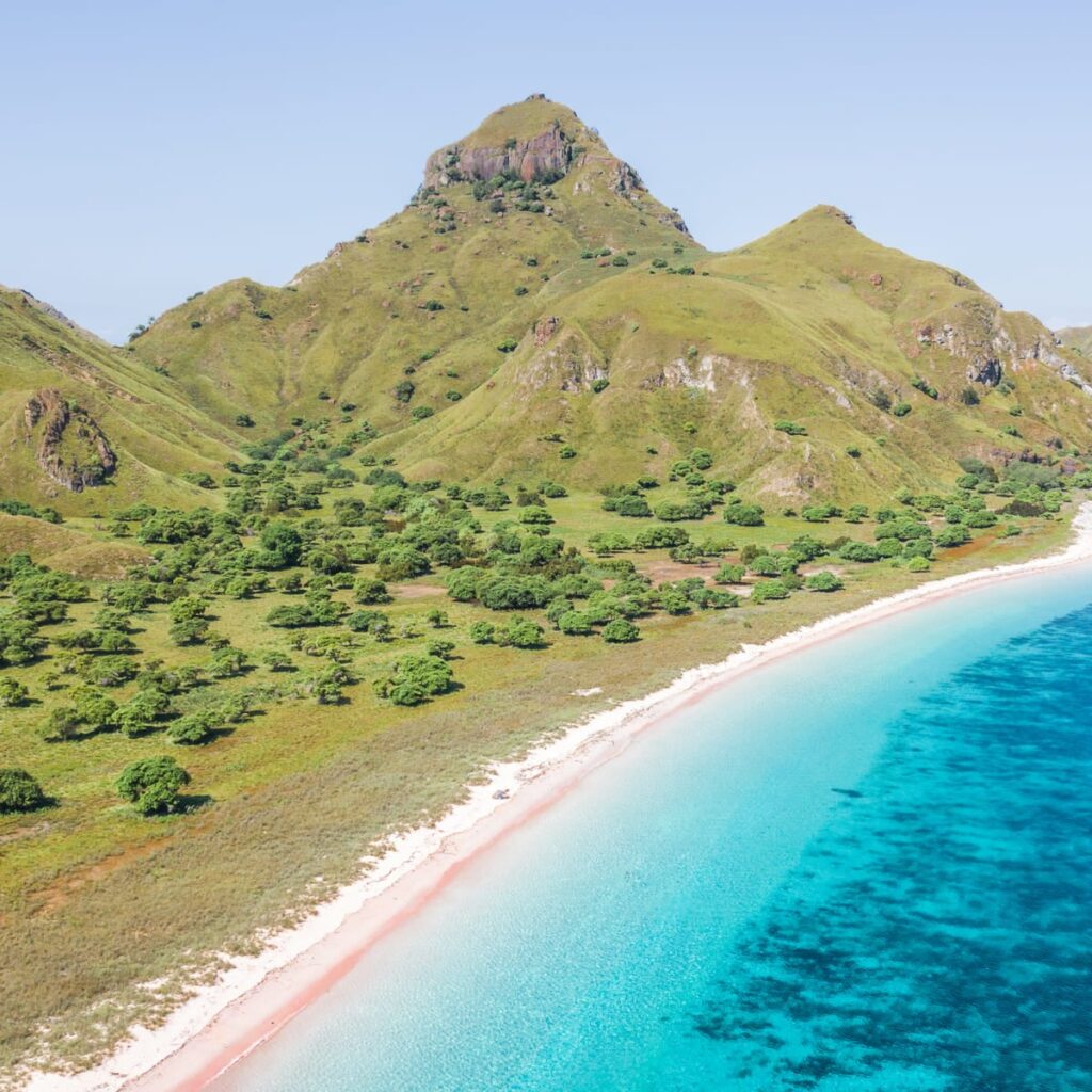 Bali Komodo Trips in August: What to Expect